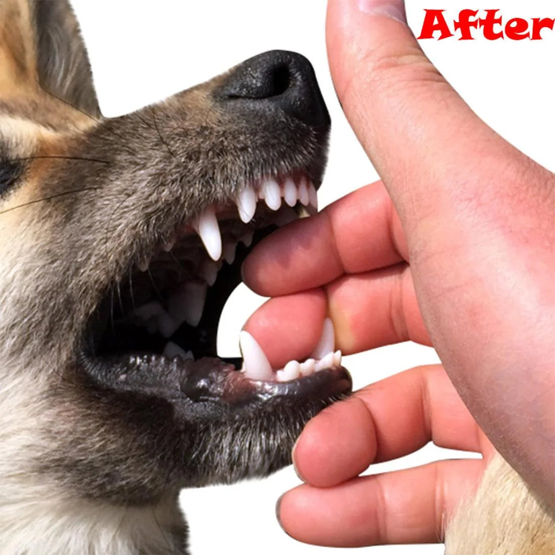 Pet Dog Chew Toys for Aggressive Chewers,Dog Toys for Aggressive Chewers Large Breed,Dog Squeaky Toy,Pet Dog Toys for Small,Medium Large Dogs Dental Care Teeth Cleaning and Massage